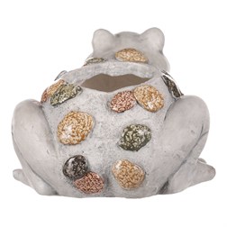 obal na květiny z magnezia - žába.