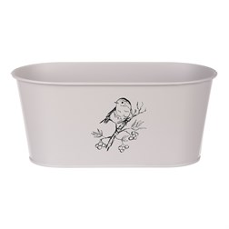 Truhlík kovový, šedivá barva s ptáčkem.