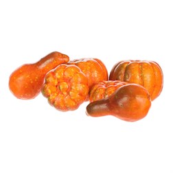 Dýně, umělá přízdoba, mix druhů 6 druhů v siťtce, cena za 1 síťtku