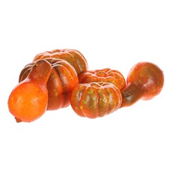 Dýně, umělá přízdoba, mix druhů 6 druhů v siťtce, cena za 1 síťtku