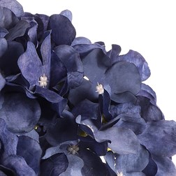 Hortenzie, kytice, 5 květů - barva tmavě modrá.