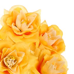 Puget růží, barva žlutá.