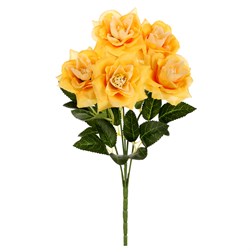 Puget růží, barva žlutá.