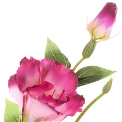 Eustoma, umělá řezaná květina, barva světle fialová.