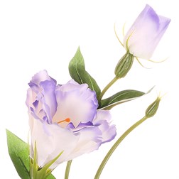 Eustoma, umělá řezaná květina, barva  fialová.