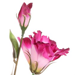 Eustoma, umělá řezaná květina, světle fialová barva.