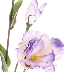 Eustoma, umělá řezaná květina, barva fialová.