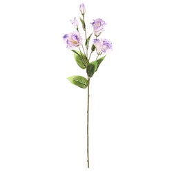 Eustoma, umělá řezaná květina, barva fialová.