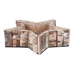 Hvězda břízová, aranžérský obal.