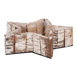 Hvězda břízová, aranžérský obal.