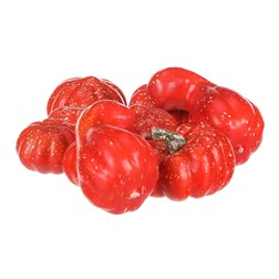Dýně plastová - červená, různé tvary, cena za síťku (9 ks).