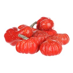 Dýně plastová - červená, různé tvary, cena za síťku (9 ks).
