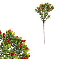 Papričky v trsu, mix 2 barev. Cena za 1ks