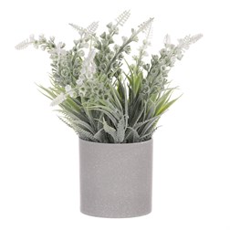 Vřes v obalu, barva krémová. Plastový obal šedivý.