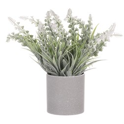 Vřes v obalu, barva krémová. Plastový obal šedivý.