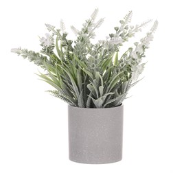 Vřes v obalu, barva krémová. Plastový obal šedivý.