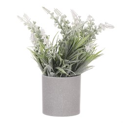 Vřes v obalu, barva krémová. Plastový obal šedivý.