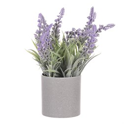 Vřes v obalu, barva fialová. Plastový obal šedivý.