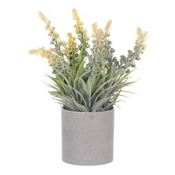 Vřes v obalu, barva žlutá. Plastový obal šedivý.