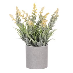 Vřes v obalu, barva žlutá. Plastový obal šedivý.