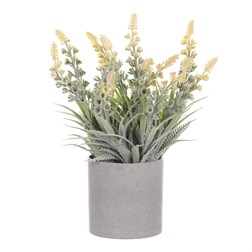 Vřes v obalu, barva žlutá. Plastový obal šedivý.