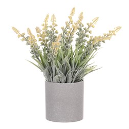 Vřes v obalu, barva žlutá. Plastový obal šedivý.