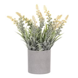 Vřes v obalu, barva žlutá. Plastový obal šedivý.