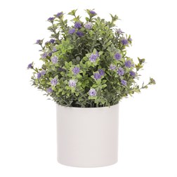 Tráva kvetoucí v plastovém bílém obalu, barva fialová.