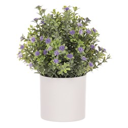 Tráva kvetoucí v plastovém bílém obalu, barva fialová.