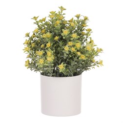 Tráva kvetoucí v plastovém bílém obalu, barva žlutá.