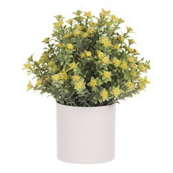 Tráva kvetoucí v plastovém bílém obalu, barva žlutá.