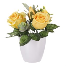 Růžičky v plastovém bílém obalu, barva žlutá.