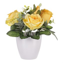 Růžičky v plastovém bílém obalu, barva žlutá.