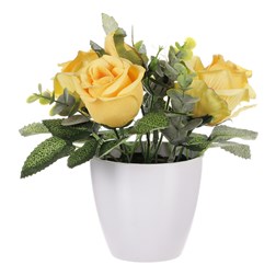 Růžičky v plastovém bílém obalu, barva žlutá.