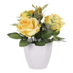 Růžičky v plastovém bílém obalu, barva žlutá.