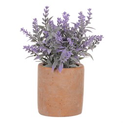 Levandule v obalu, terakotový obal.
