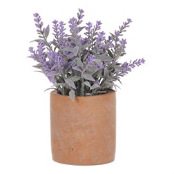 Levandule v obalu, terakotový obal.