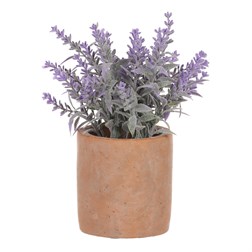 Levandule v obalu, terakotový obal.