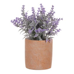 Levandule v obalu, terakotový obal.