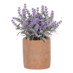 Levandule v obalu, terakotový obal.