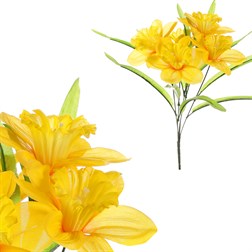 Narcisky v pugetu, žlutá barva.