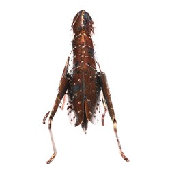 Kobylka - kovová zahradní dekorace