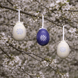 Kraslice z pravých vajíček, bílo-modrá varianta. Cena za 6ks v krabičce.